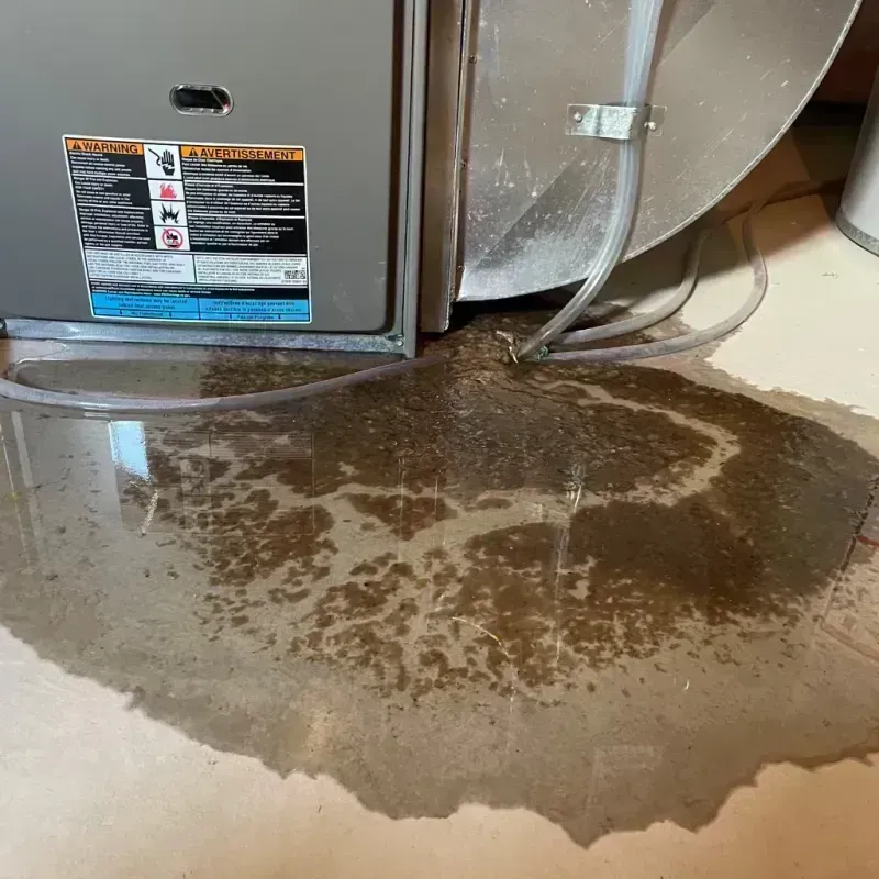 Appliance Leak Cleanup in Natchitoches, LA